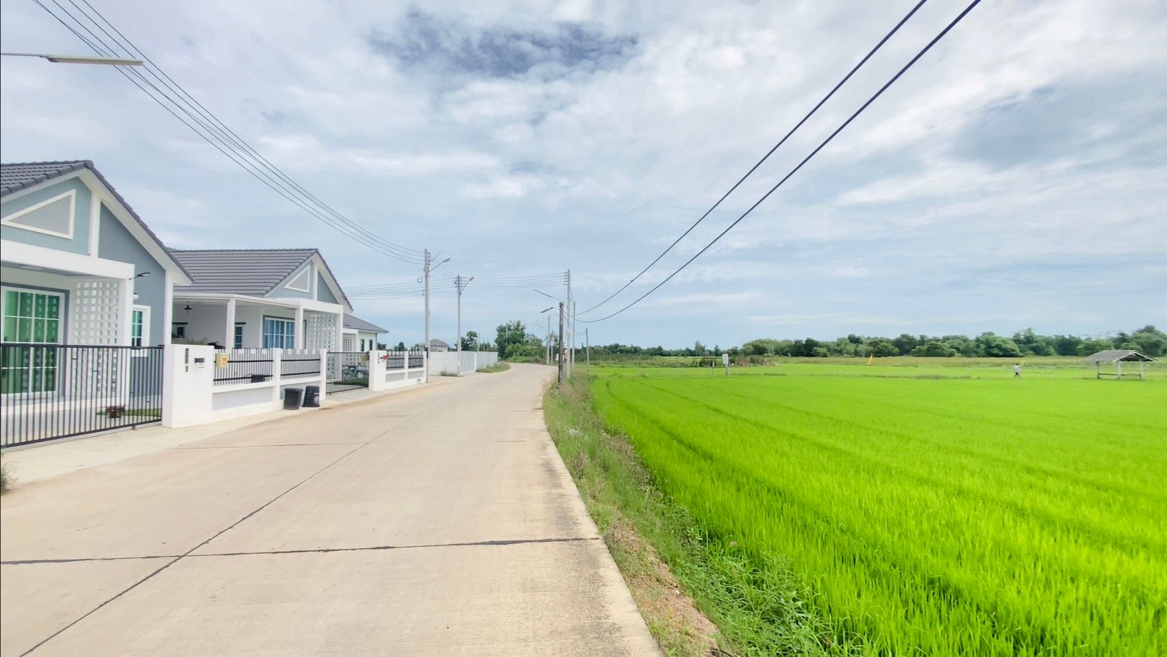 ขายที่เปล่า แปลงทุ่งนา วิวสวยมาก ติดชุมชน ใกล้เซนทรัลระยอง