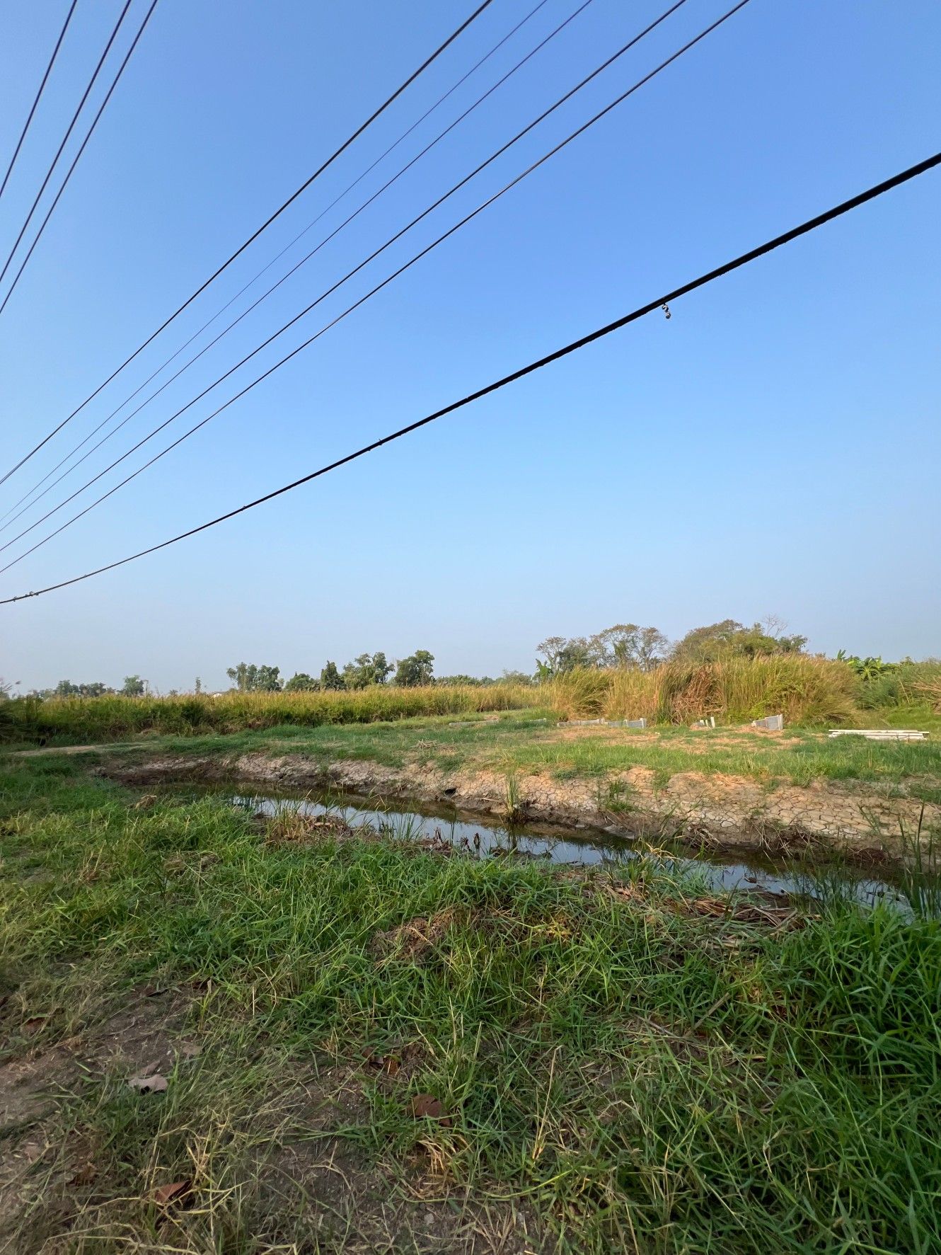 ขายที่ดินขายที่ดิน รังสิตฝั่งเหนือ ธัญบุรี ทำเลดีมาก แปลงสวย ใกล้ถนนรังสิต-นครนายก ธัญบุรี ปทุมฯ 7-0-0