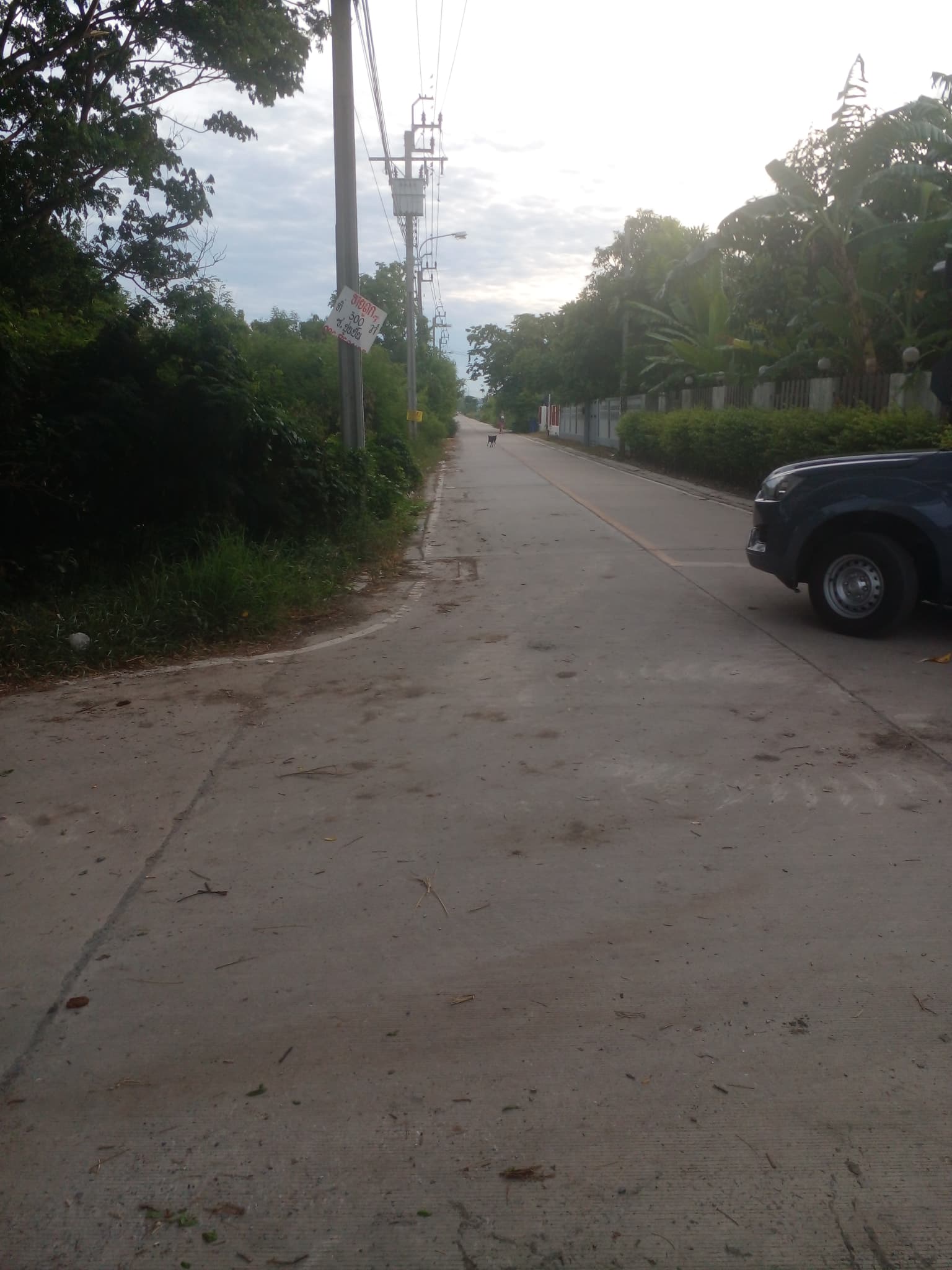 ที่ดินเปล่า บางบัวทอง นนทบุรี 1-0-95