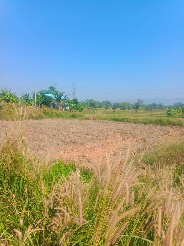 ขายที่ดิน 3-0-18 บ้านโพธิ์
