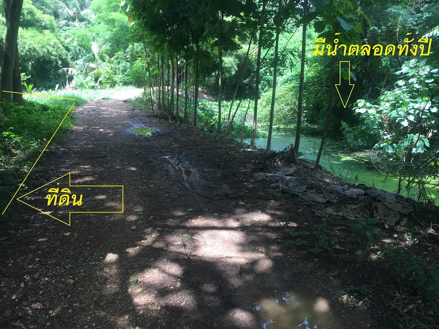 ที่ดินสวน เมืองเพชรบูรณ์ 1-2-70 ไร่