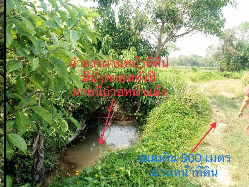 ขายที่ดิน อ.วังเหนือ จ.ลำปาง