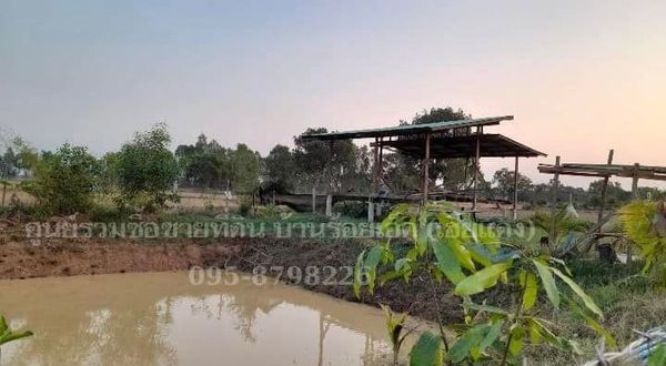 ที่ดิน สำหรับทำบ้านสวน โคกหนองนา มีสระน้ำ บรรยากาศดี ร้อยเอ็ด 3-3-68