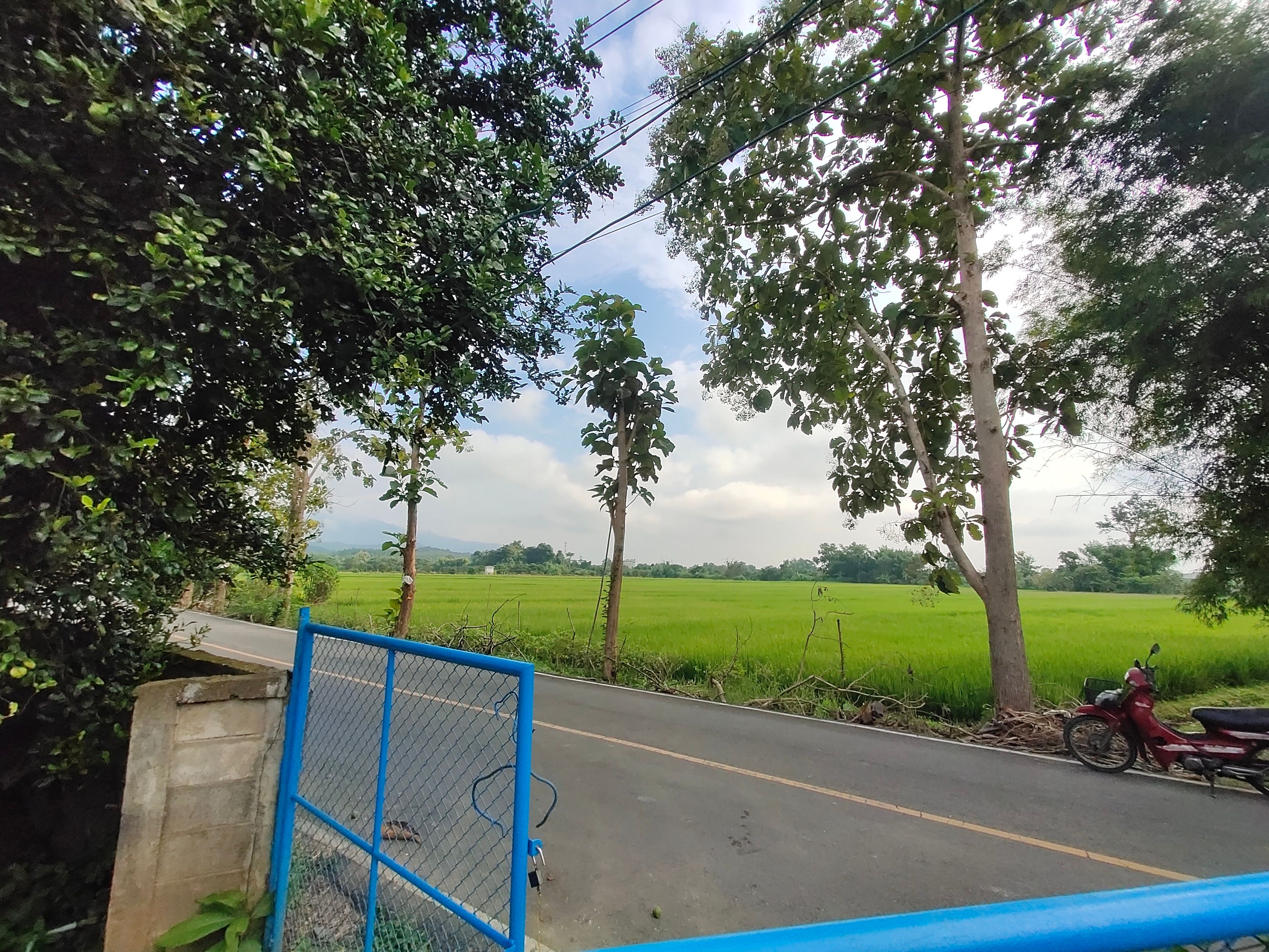 ขายที่ดินแปลงสวย ขายเลี้ยงเมียน้อย
