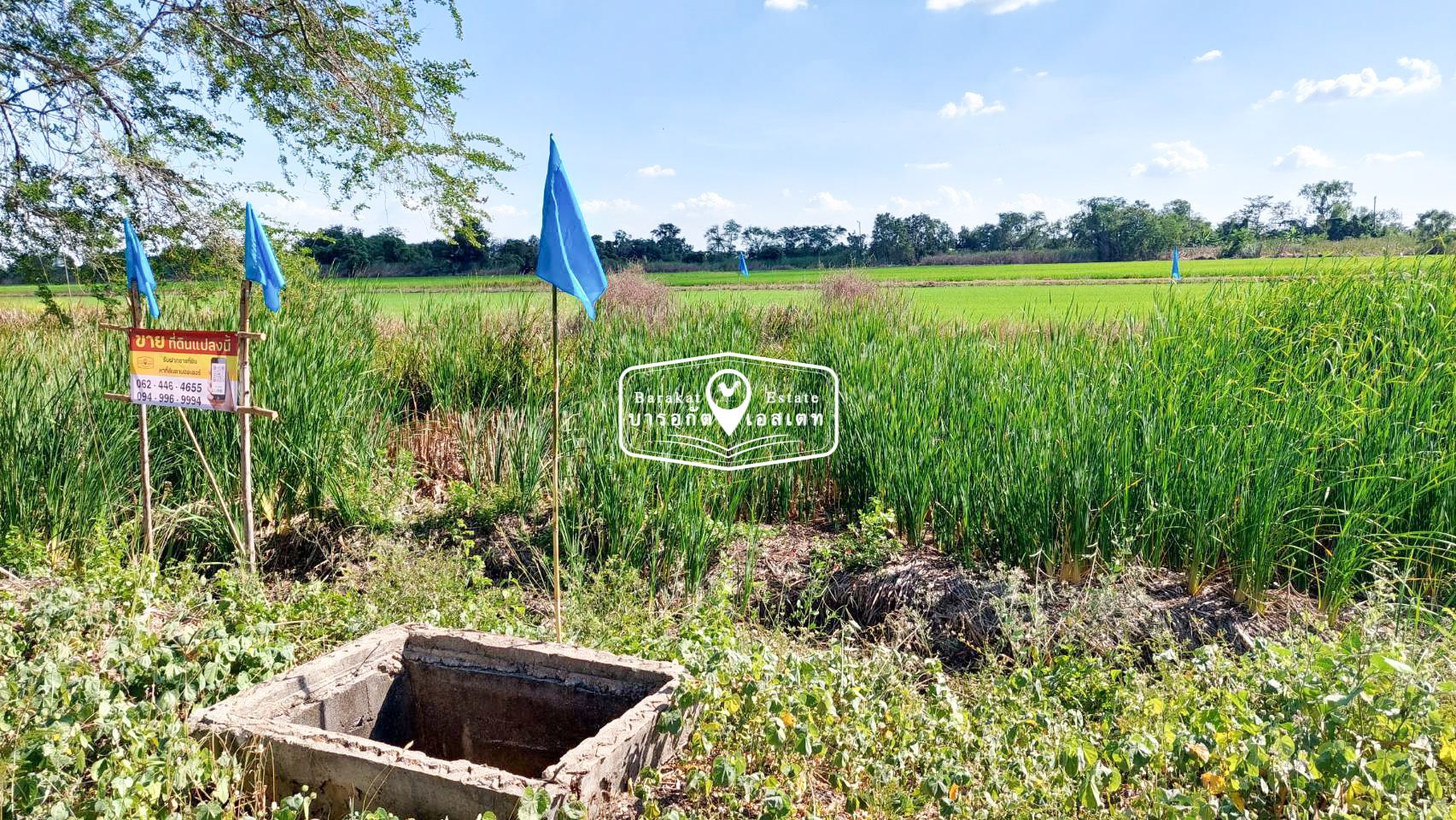 โปรลดราคากับแบบสุดแปลงนี้ต้องการเจ้าของแบบด่วนๆ....นะคะ  เจ้าของขายแบบไม่ต้องการกำไร เคลียริ่ง เรียบร้อย 