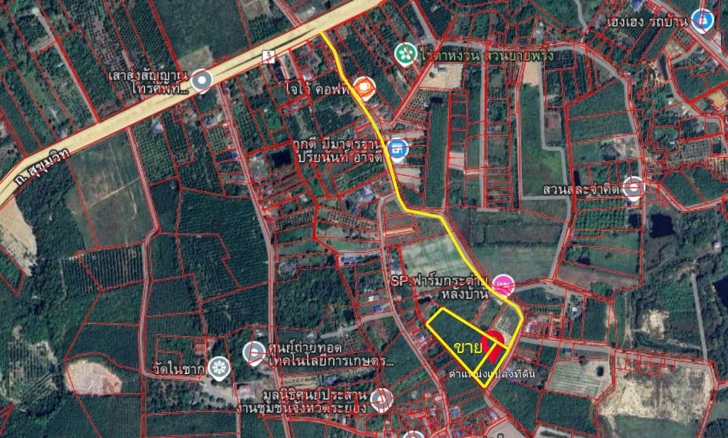 สวนยางพารา หน้ากว้างติดถนนคอนกรีด