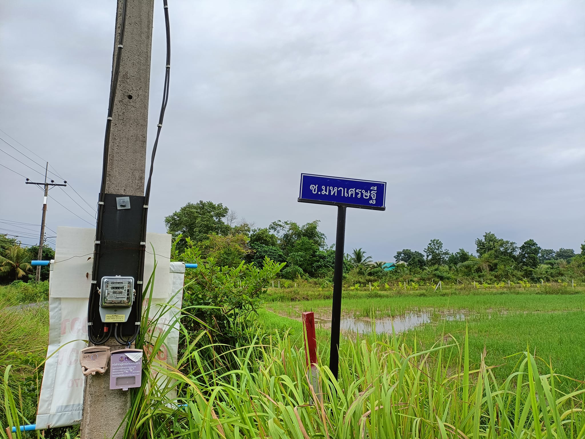 ที่ดินถมแล้ว ทำเลอนาคต นครศรีธรรมราช 62.8 ตรว.