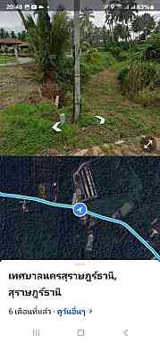 ขายที่ดิน สุราษฎร์ธานี 5-0-48.5 ไร่