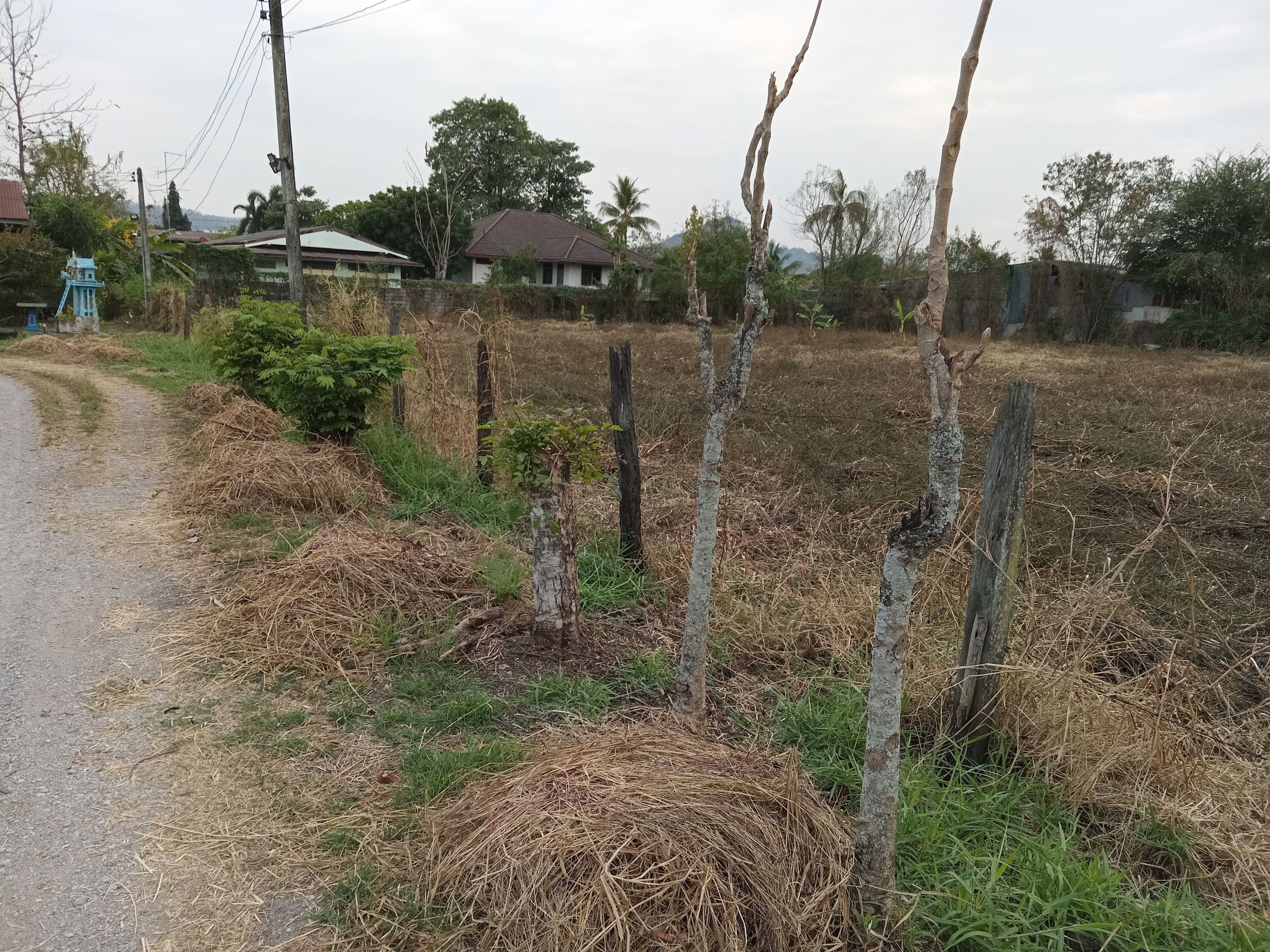 ที่ดินเปล่ากลางชุมชน ในเขตเทศบาล