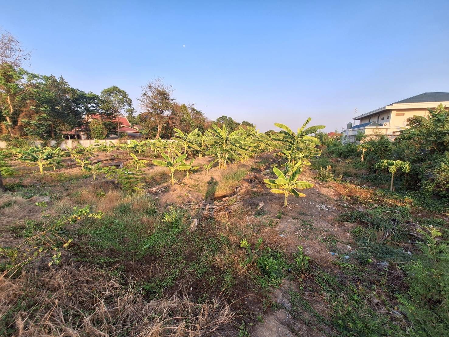🏘️ขายที่ดินปทุมธานี📍เขตติดต่อนนทบุรี-ปทุมธานี
