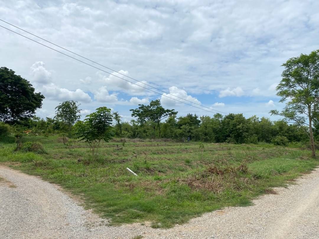 ขายที่ดินจังหวัดพิษณุโลก อำเภอเมือง