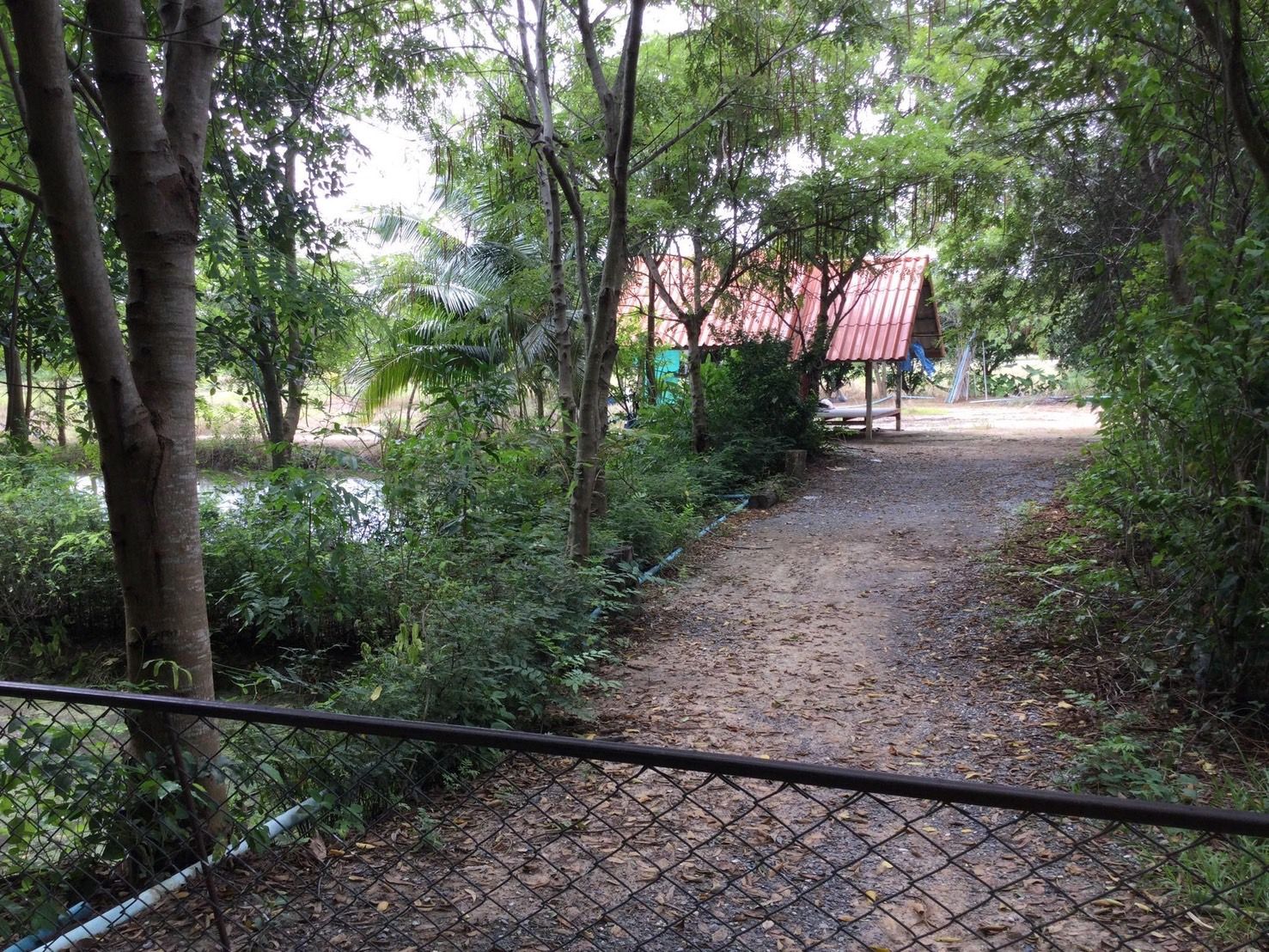 ขายที่ดินสุพรรณบุรี อำเภอหนองหญ้าไซ ที่ดินเปล่า ติดถนนสาธารณะ สาธารณูปโภคครบครัน 16-0-0 ไร่.