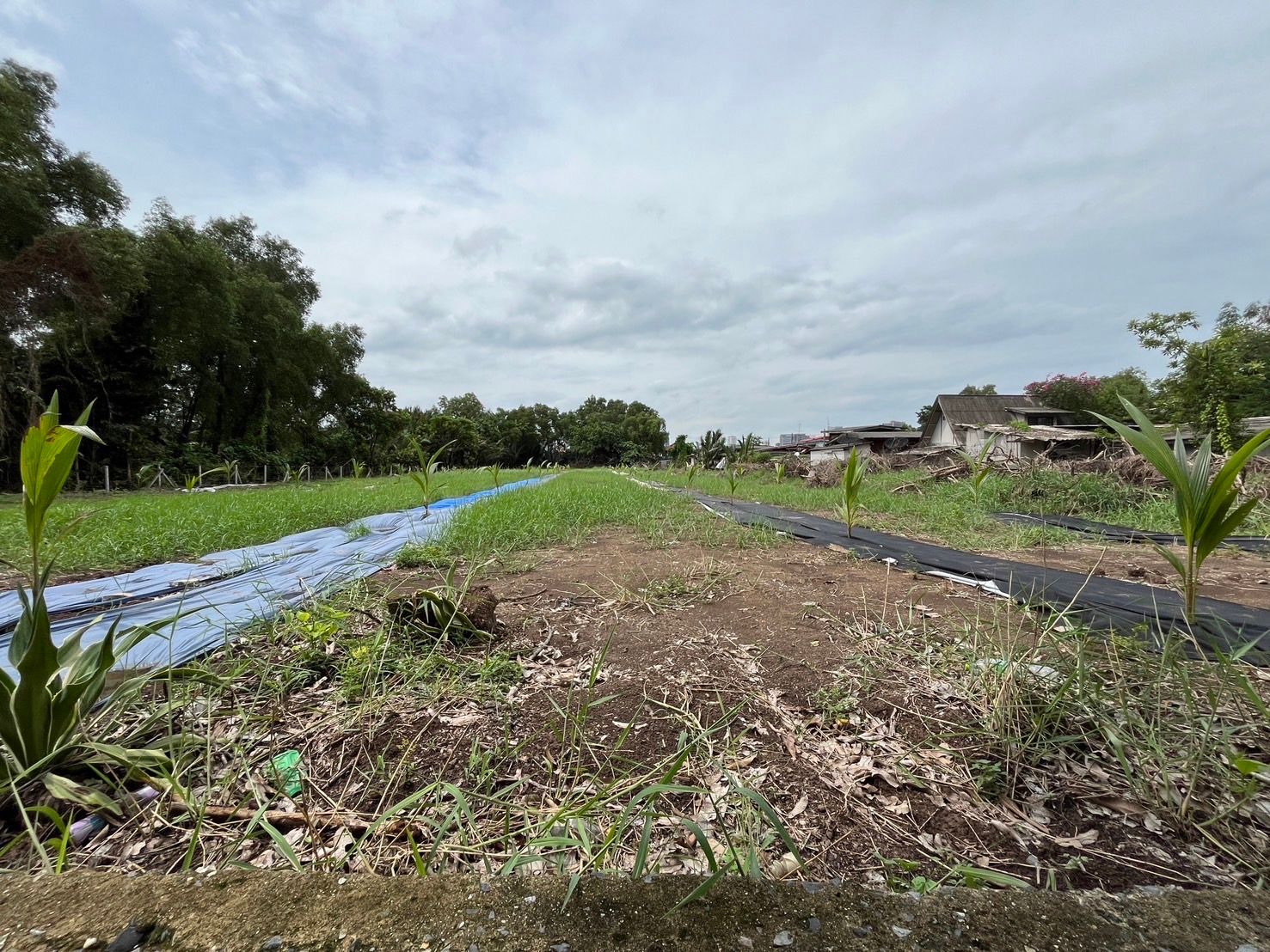 ที่ดินริมแม่น้ำเจ้าพระยา ตรงข้ามคลองเตย