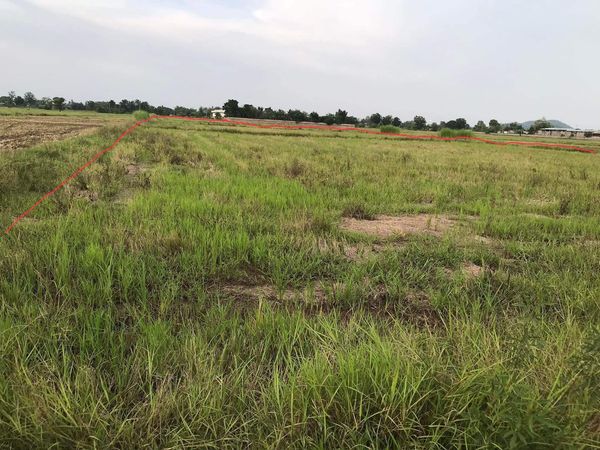 ที่ดิน ตำบลสารจิตร  ศรีสัชนาลัย สุโขทัย 11-3-2