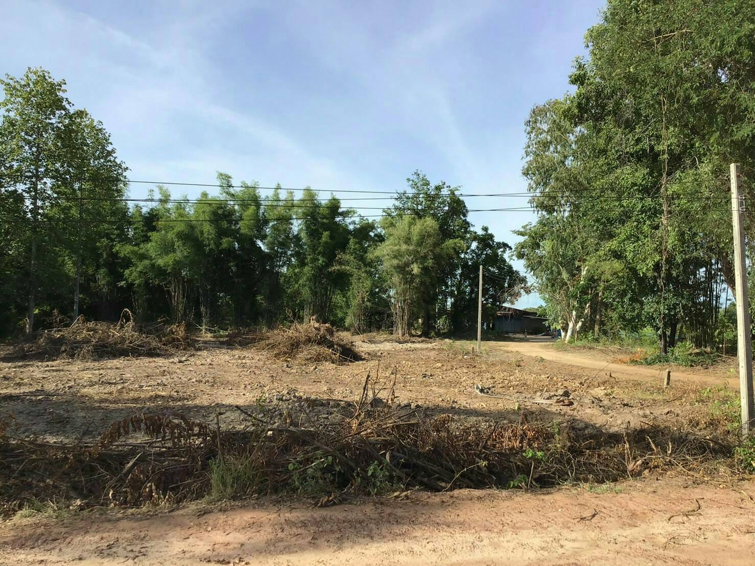 ที่ดินราคาถูก พิจิตร 378 ตร.ว