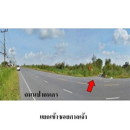 ที่ดิน ติดม.แสงตะวัน นครศรีธรรมราช 45 ตรว.