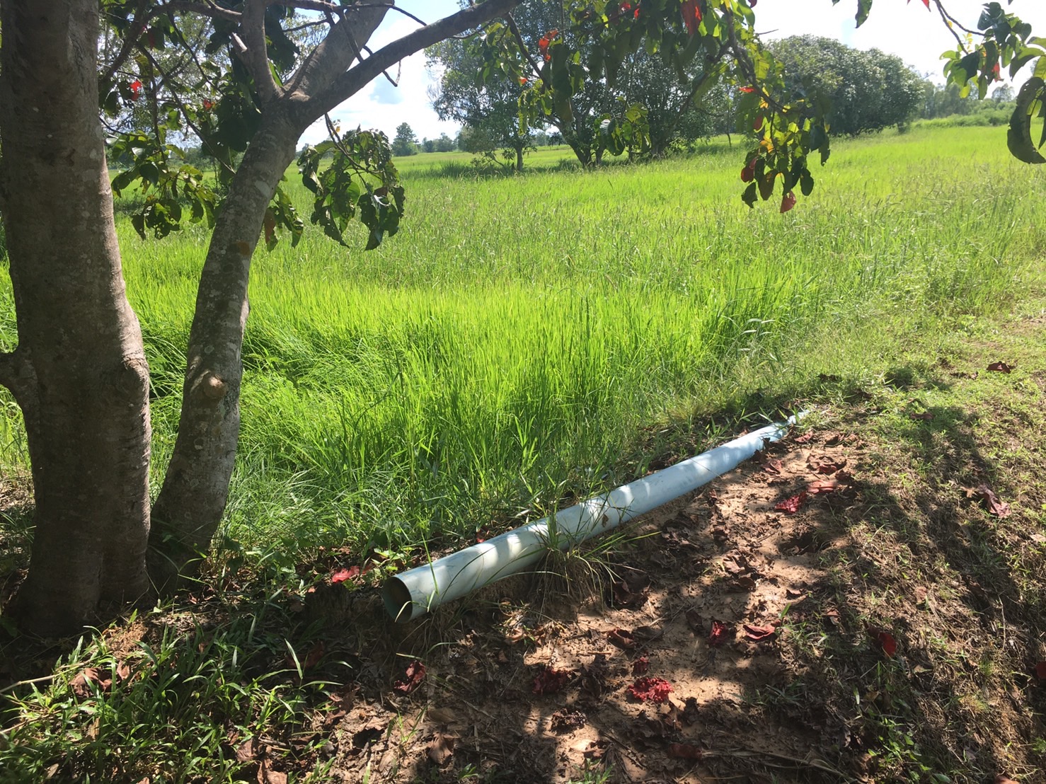 ขายที่ดินร้อยเอ็ด เสลภูมิ 7-3-69