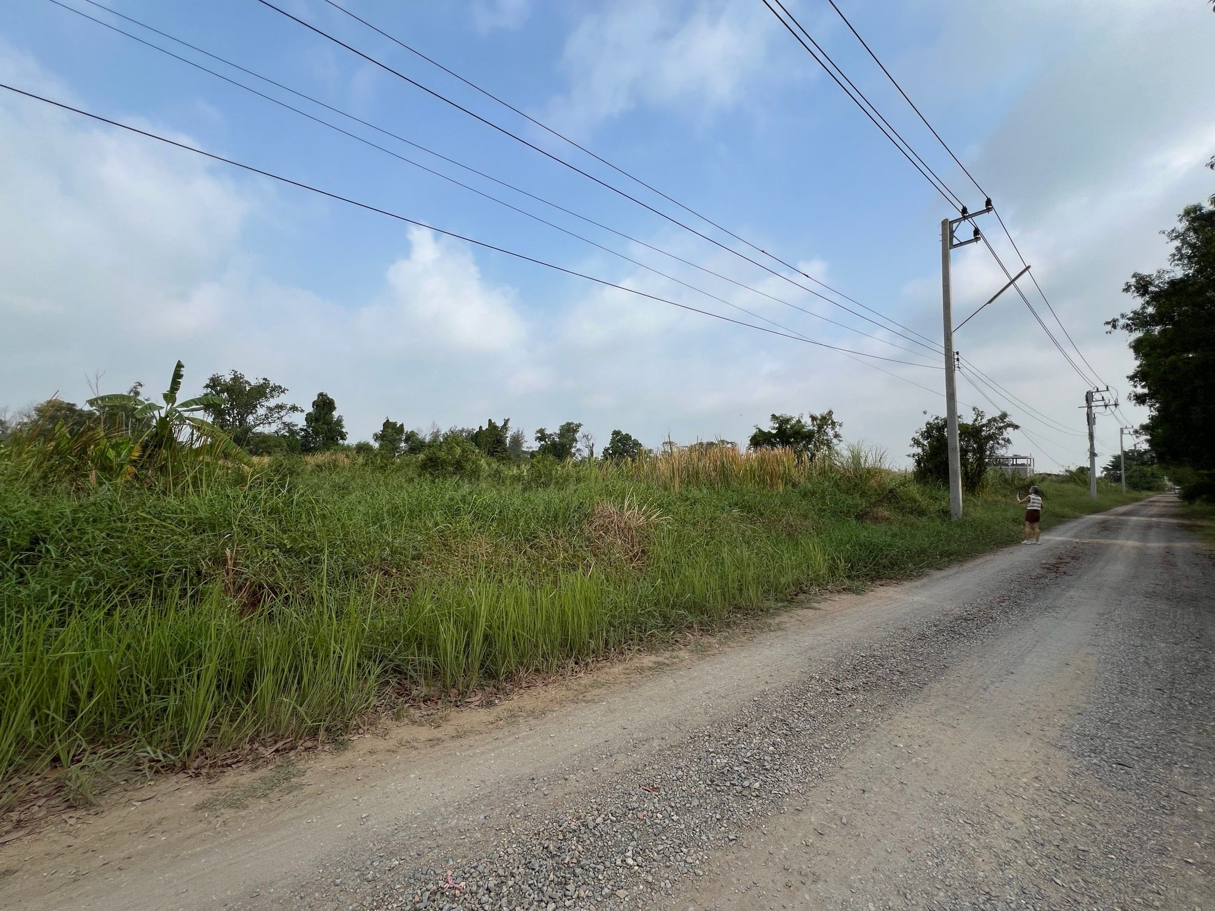 ขายที่ดินขายที่ดิน รังสิตฝั่งเหนือ ธัญบุรี ทำเลดีมาก แปลงสวย ใกล้ถนนรังสิต-นครนายก ธัญบุรี ปทุมฯ 7-0-0