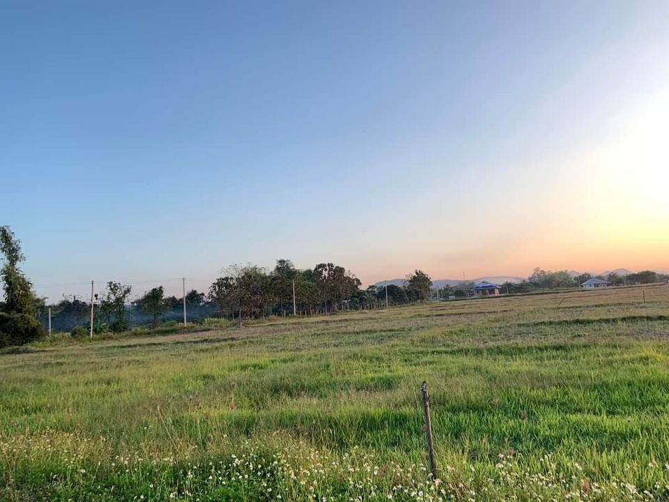 ที่ดิน บ้านป่าตึง ต.เหมืองจี้ จ.ลำพูน 1-1-50