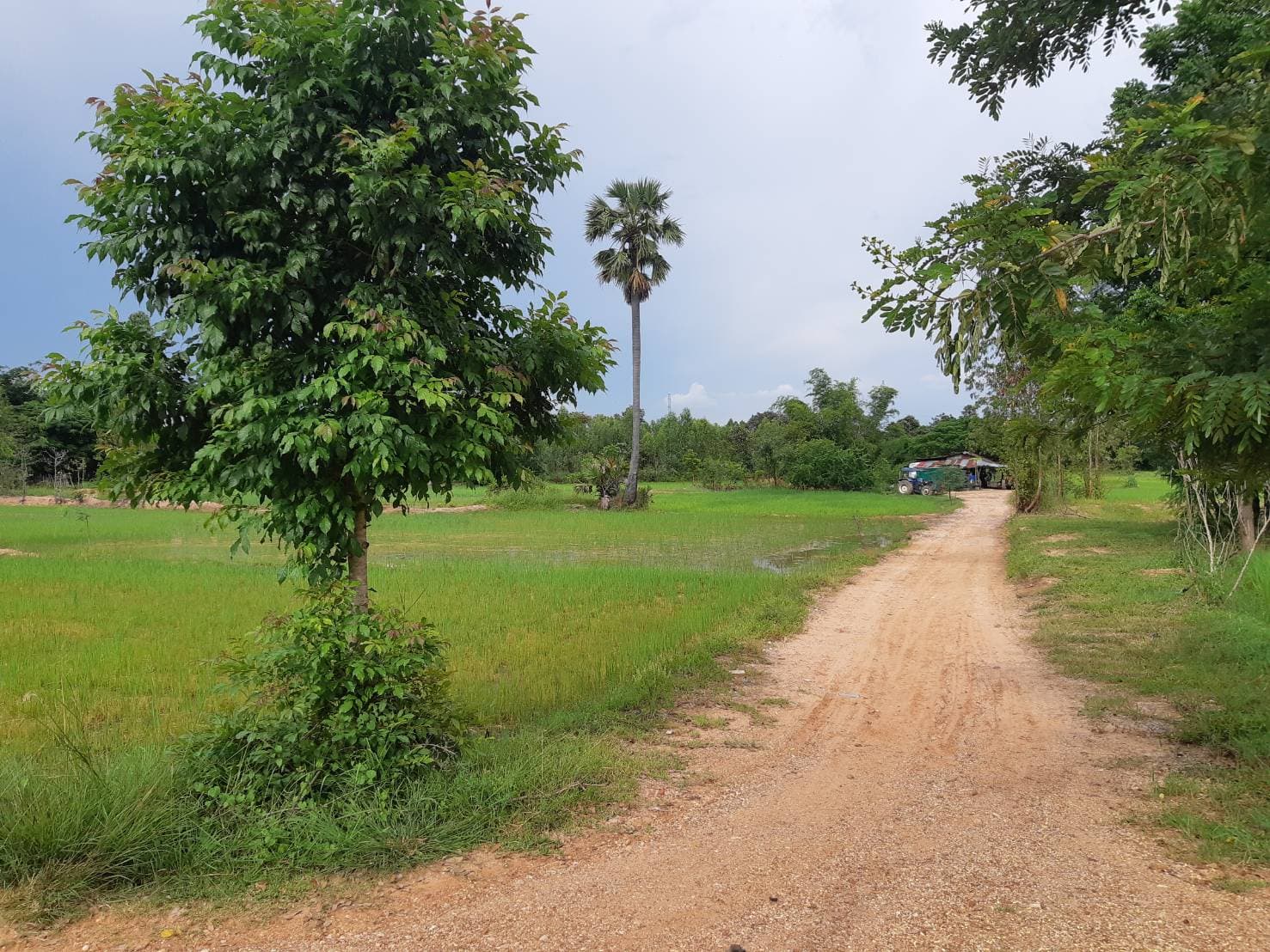 ขายที่ดินขอนแก่น เมืองขอนแก่น 12-0-0