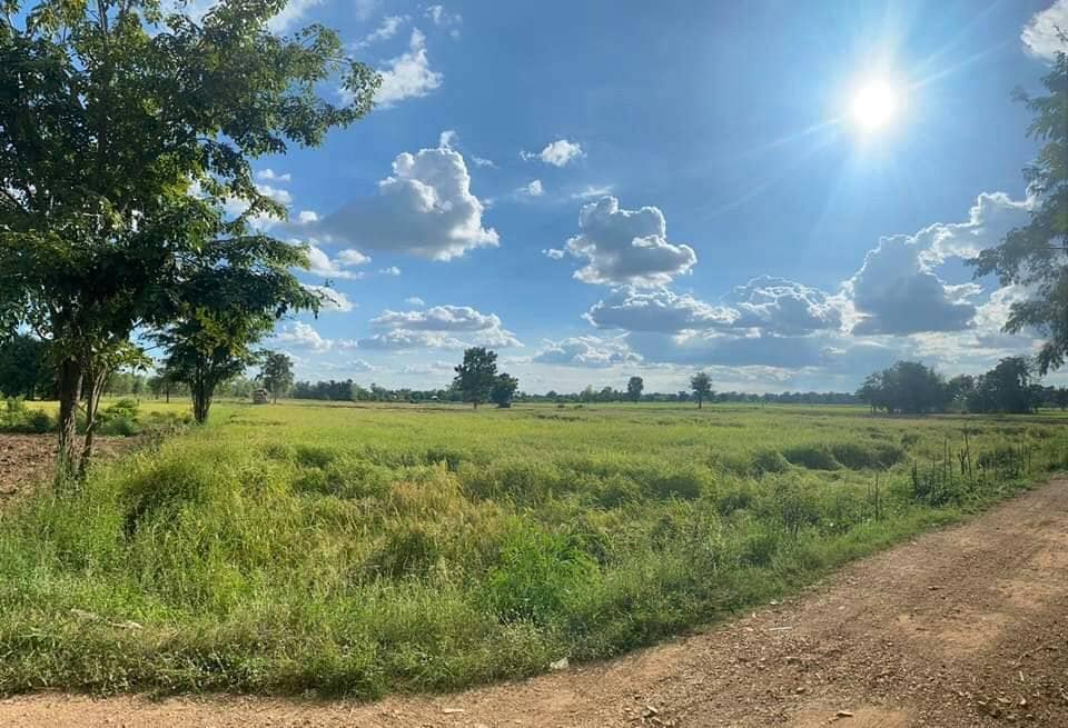 ที่ดิน เหมาะทำบ้านสวนเกษตรพอเพียง โคกหนองนา  พิจิตร 4-1-80