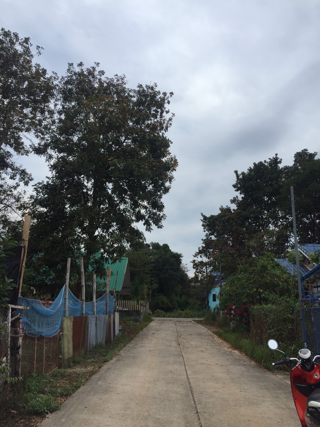 ขายที่ดินเปล่า อุบลราชธานี 60 ตร.ว