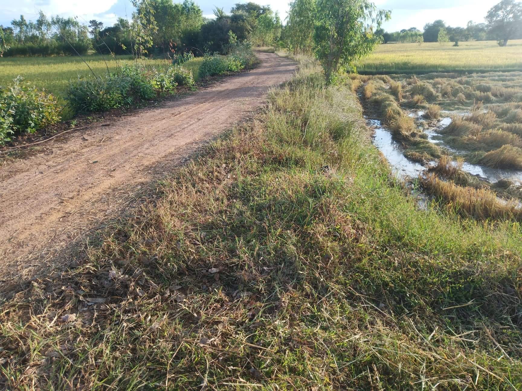 ขายที่ดินร้อยเอ็ด สุวรรณภูมิ 3-0-69.8