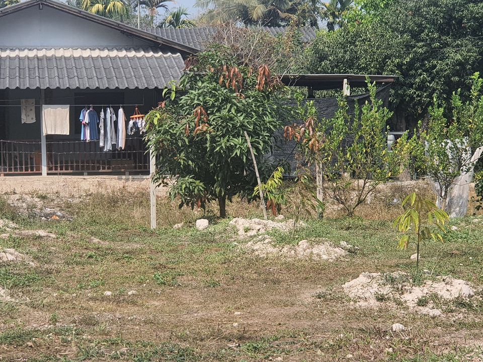 ขายที่ดิน นครนายก 65 ตรว.
