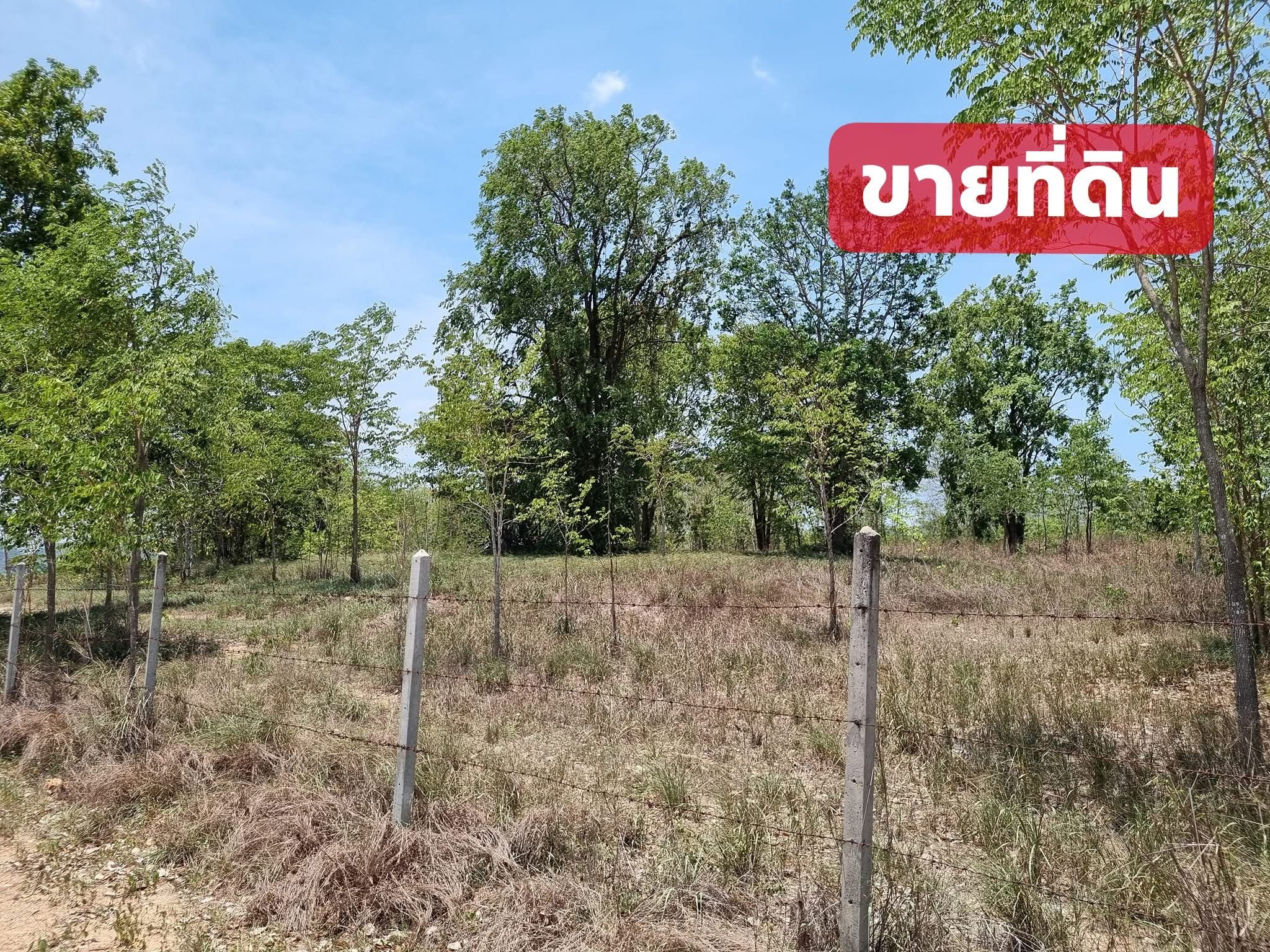 ขายที่ดินประจวบฯ ที่ดินแปลงใหญ่ ใกล้เมืองหัวหิน ที่ดิน น.ส.3ก