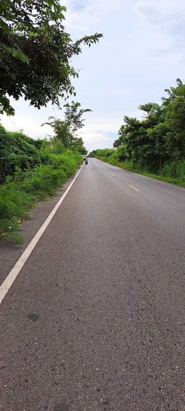 ขายที่ดินกาฬสินธุ์ เมืองกาฬสินธุ์ 11-1-84