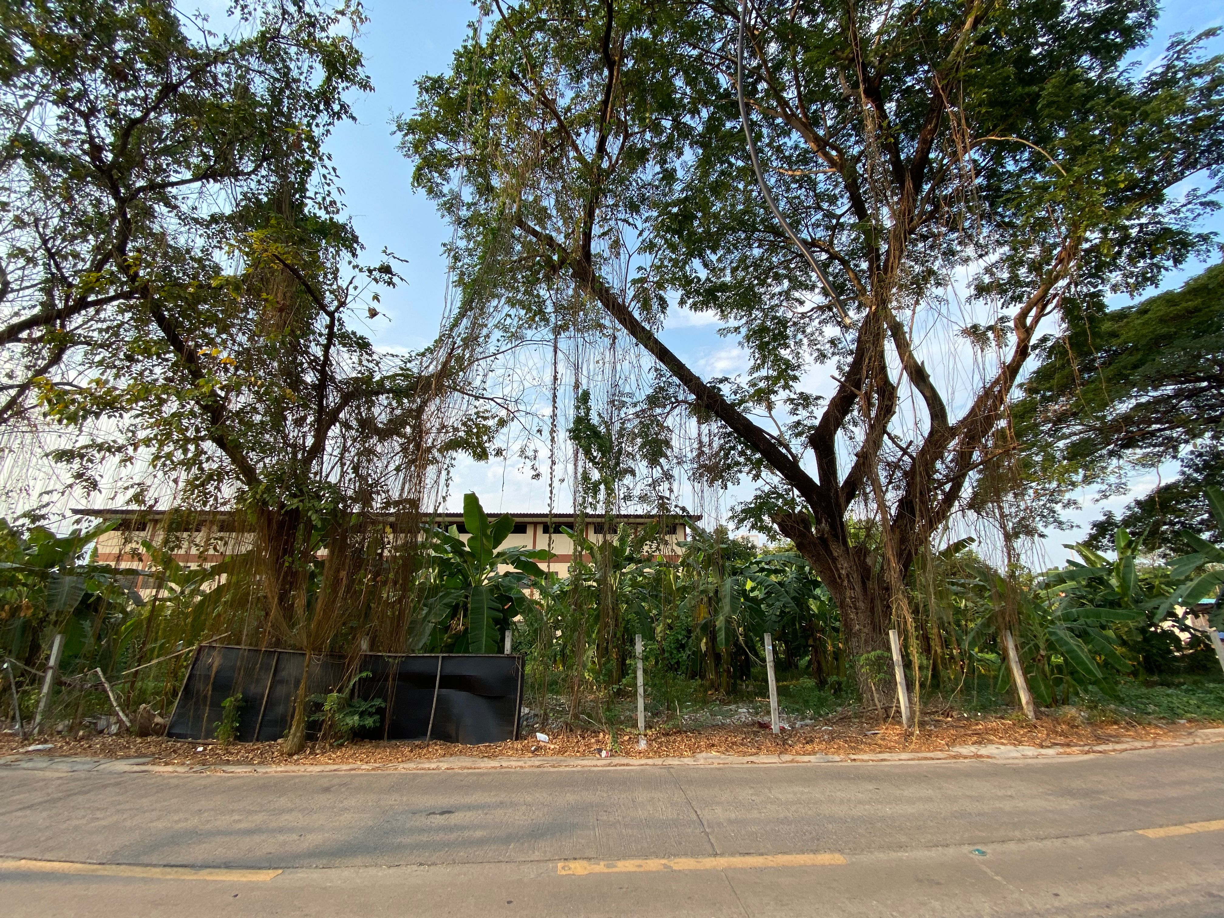 ขายที่ดิน 396 ตรว. แปลงสวย ซ.รามอินทรา 58 (นวมินทร์ 94) ใกล้ รพ.สินแพทย์