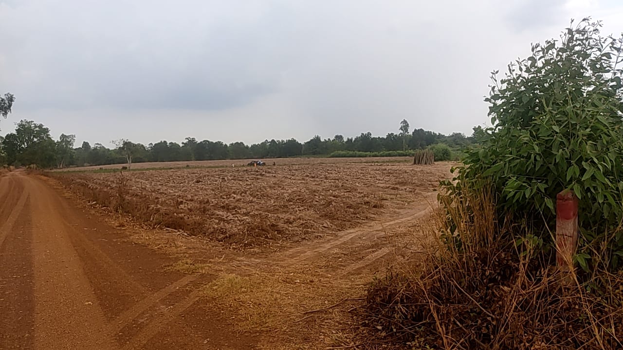ขายที่ดินเพื่อการเกษตร