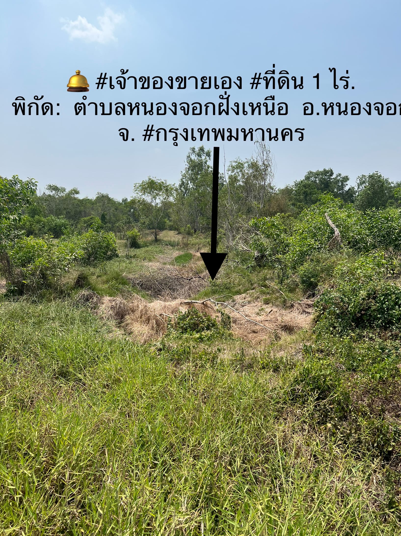💥ฟรีค่าโอน💥 ขายที่ดินเปล่า โซนหนองจอก กรุงเทพมหานคร 1 ไร่ 
