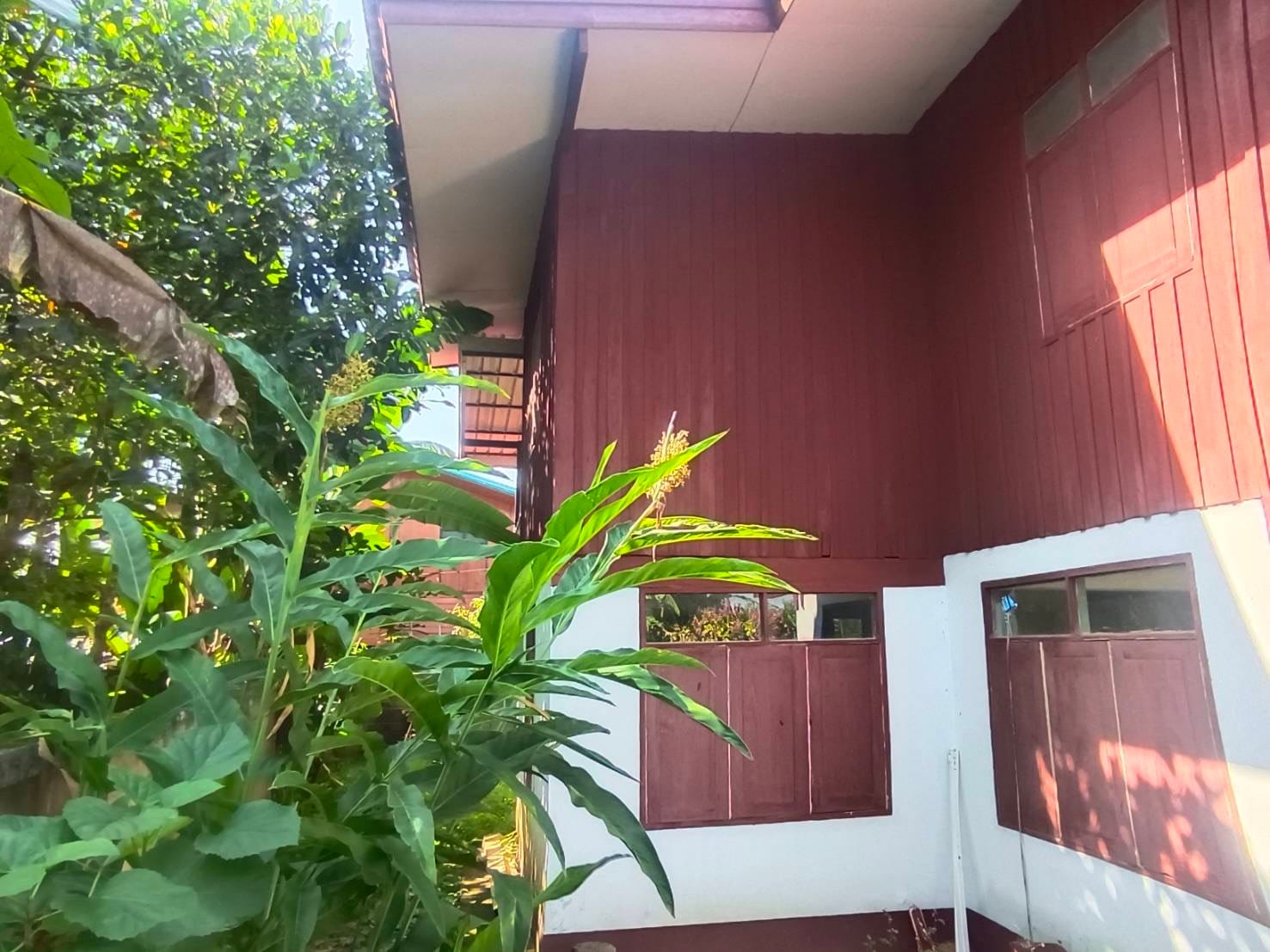 ขายบ้านพร้อมที่ดิน เชียงราย
