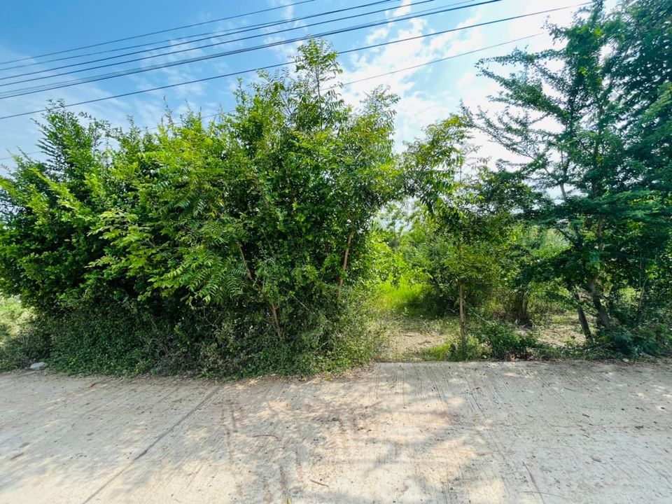 ที่ดินราคาถูกและสวย เดิมนางบวช สุพรรณบุรี 170 ตรว.