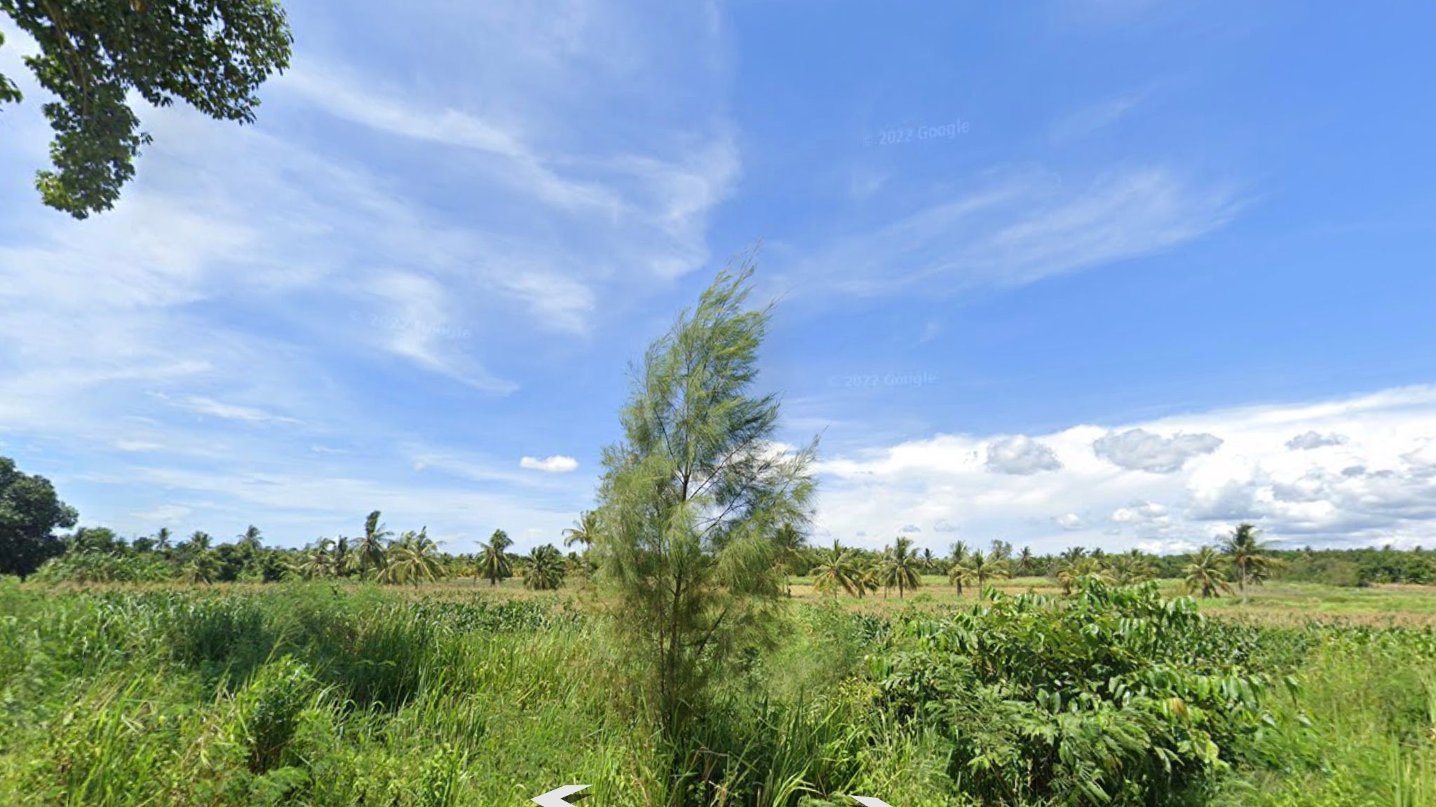 หาเจ้าของใหม่ ให้ ที่ดินแปลงสวย หน้ากว้างทรงสี่เหลี่ยมผืนผ้า รูปทรงสมมาตร ราคาใกล้เคียงราคาประเมิน ใน ประจวบคีรีขันธ์ 