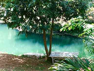 บ้านพร้อมที่ดินเขาใหญ่กุดเค้า สวยมาก นครราชสีมา พื้นที่ 16 ไร่เศษ 