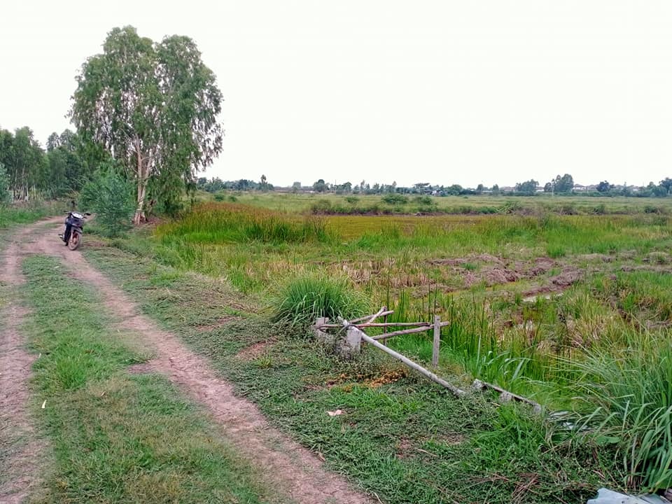 ขายที่ดิน มหาสารคาม 1-0-36 ไร่ 