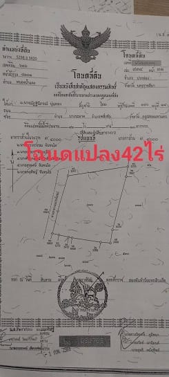 ที่ดิน เขาใหญ่ ติดถนน ธนะรัชต์ 62-3-18ไร่