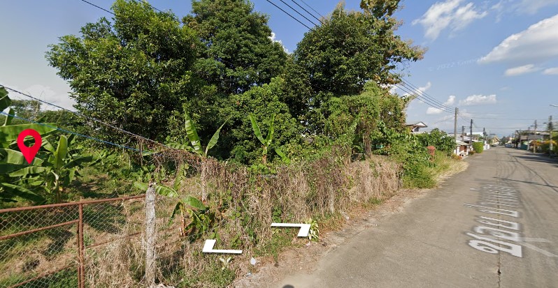 ขายที่ดินเชียงราย แม่สาย 0-3-20