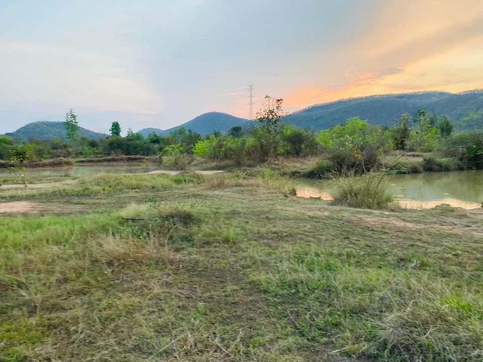 ที่ดิน  บ้านสันคะยอม ต.ป่าสัก อ.เมือง ลำพูน 10-0-62