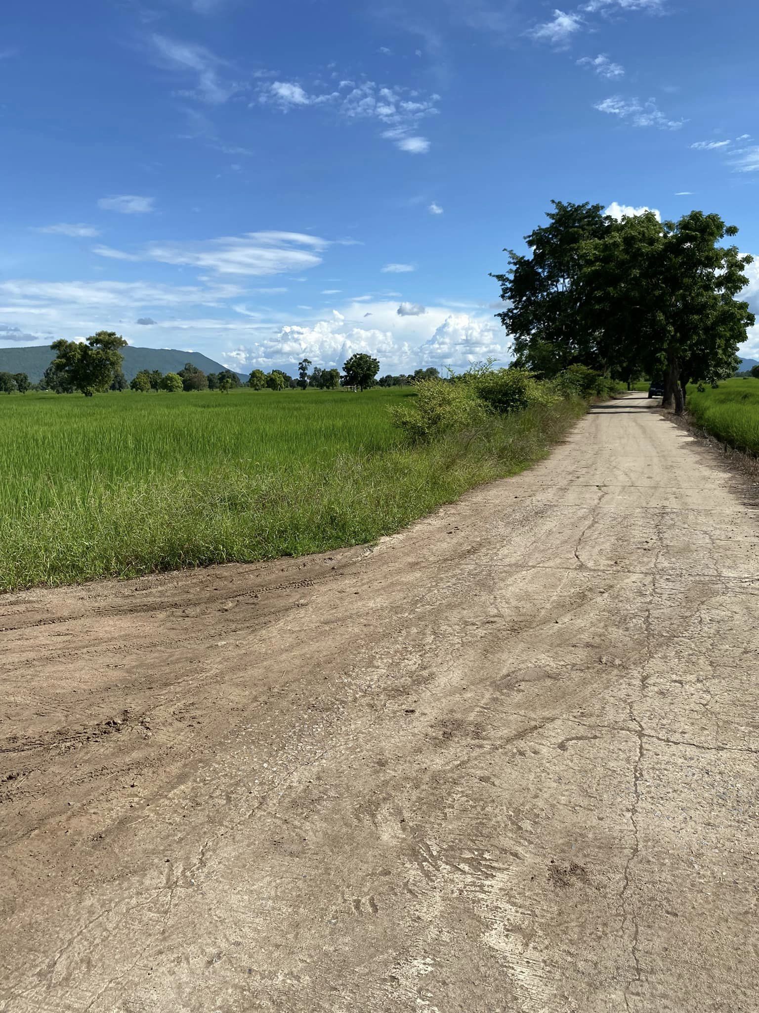 ขายที่ดิน ลพบุรี 11 ไร่