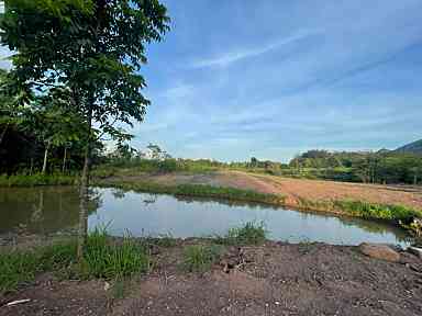 ที่ดินติดอุทยานแห่งชาติเขาใหญ่ นครราชสีมา 3-3-60