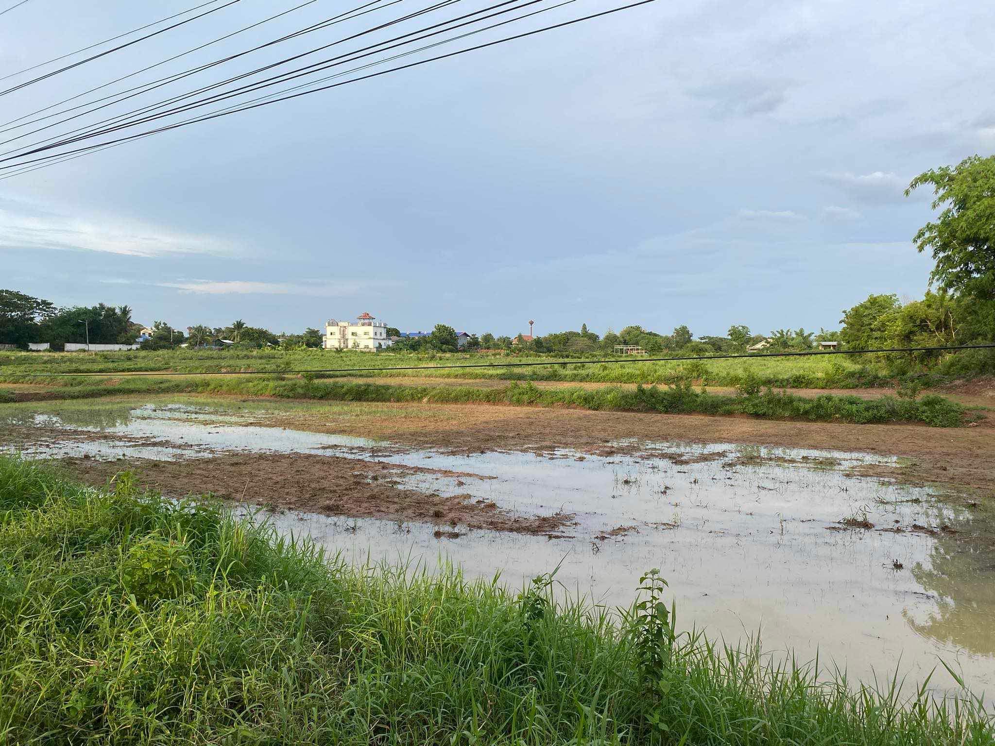 ขายที่ดิน ศรีบุญเรือง หนองบัวลำภู