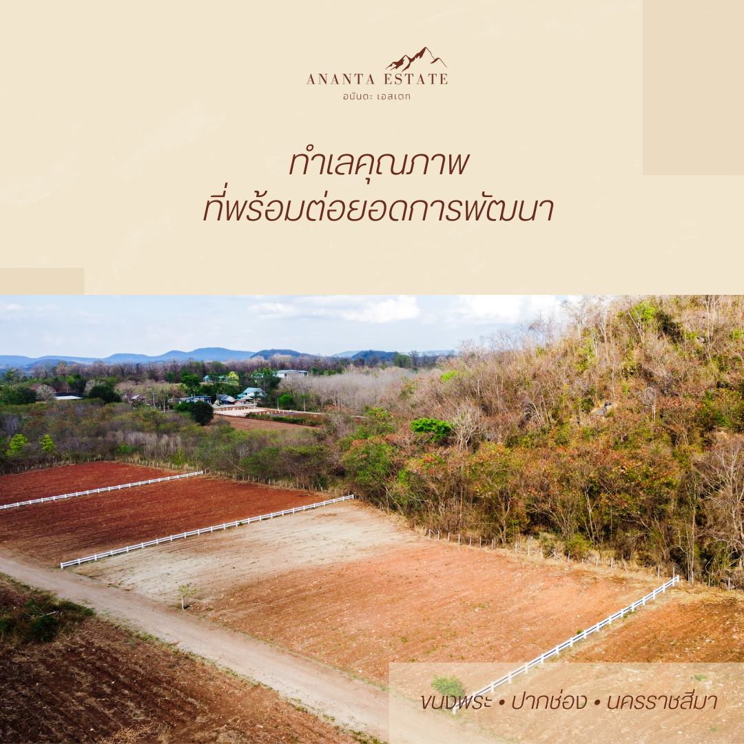 แบ่งขายที่ดิน 7 แปลง (รวม 7 ไร่) ต.ขนงพระ อ.ปากช่อง จ.นครราชสีมา (มีโฉนดครุฑแดงทุกแปลง พร้อมโอนทันที!)