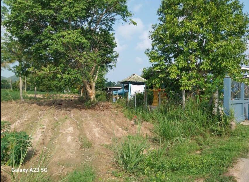 ขายที่ดินชลบุรี สัตหีบ ที่ดินแปลงสวย ใกล้ โรงพยาบาลสัตหีบ กม.10