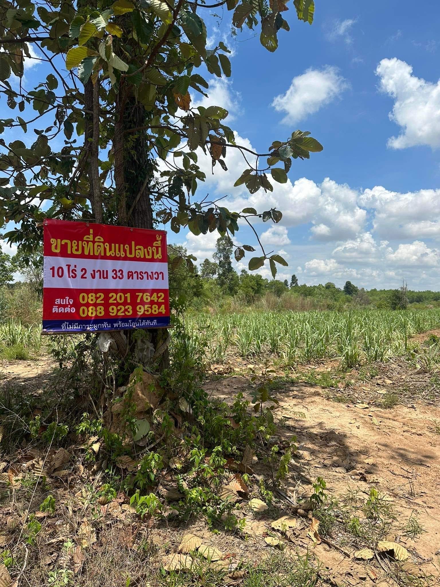 ขายที่ดิน‼️