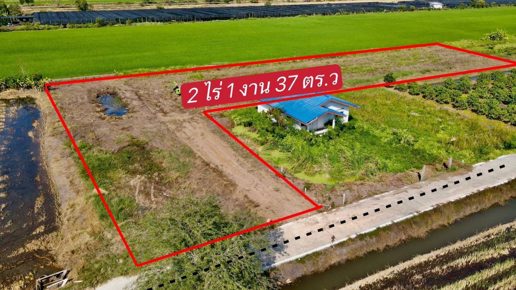 ขายที่ดินปทุมธานี บรรยากาศดี แปลงสวย ใกลสนามโมโตครอส NJ77 Ride Park คลองหลวง ปทุมฯ 2-1-37