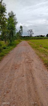 ที่ดินทุ่งนา ภูเวียง ขอนแก่น 2-3-7.3 ไร่