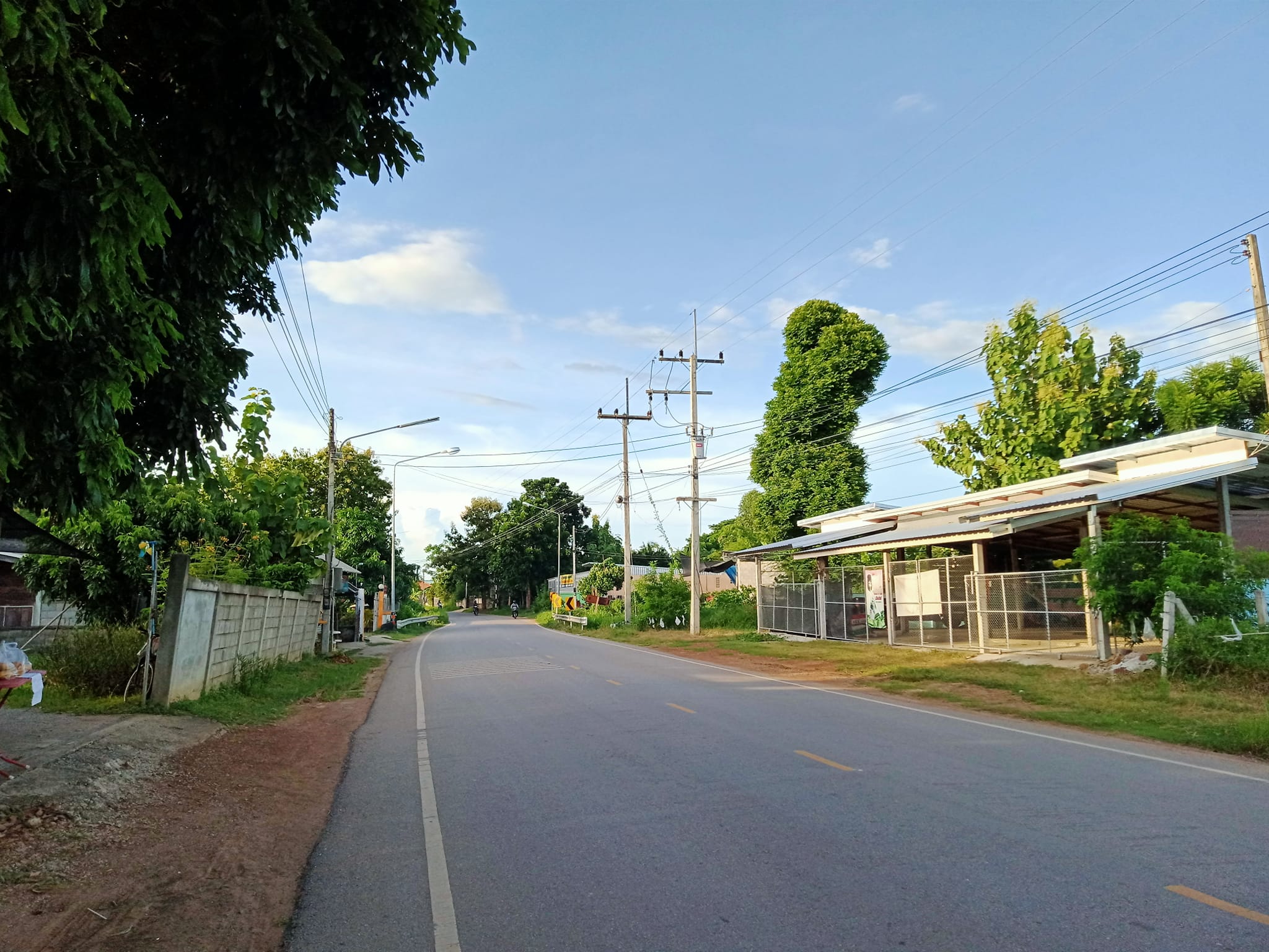 ขายที่ดินลำปาง แม่ทะ 0-1-9.3